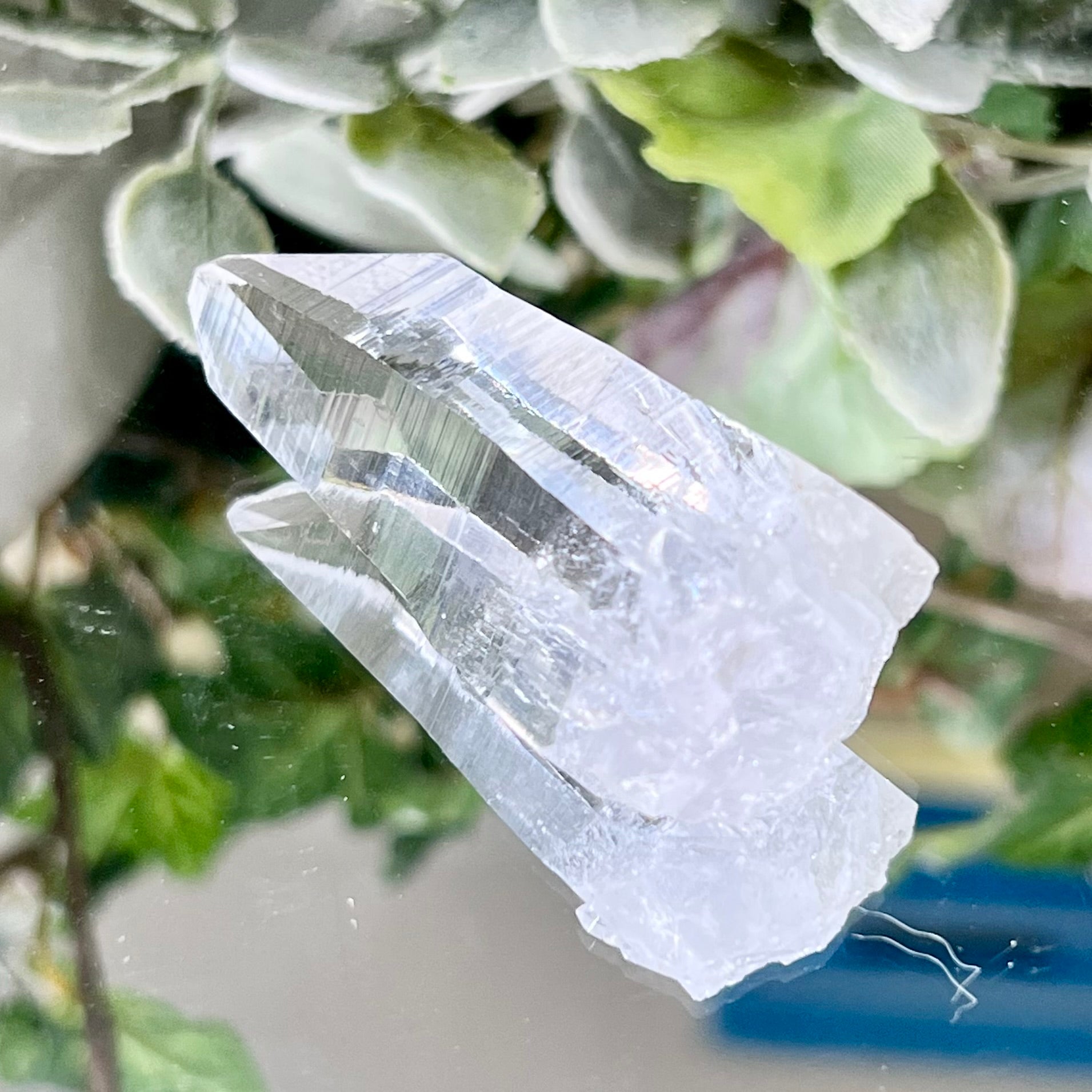AA Spectacular Colombian Lemurian Quartz - Crystal Happenings